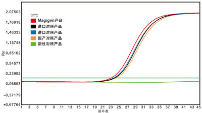 rt pcr rt pcr
