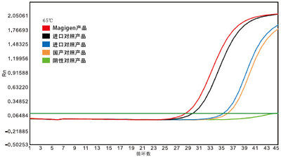 pcr rt酶 pcr rt酶