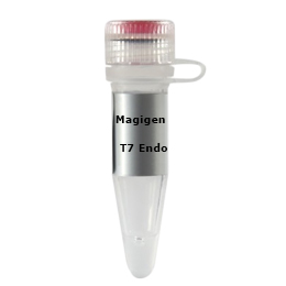 T7核酸内切酶I | T7 Endonuclease I 250U