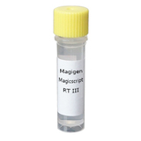Magicscript Reverse Transcriptase III 100-RT enzymes