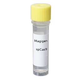 spCas9蛋白 400p