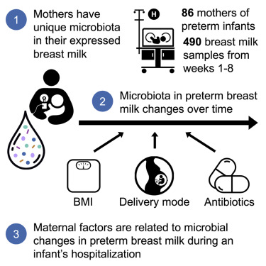 抗生素影响早产儿的母乳微生物群