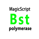BST DNA聚合酶