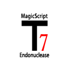Magigen T7核酸内切酶I / T7 Endonuclease I