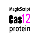 Magigen CRISPR Cas12蛋白家族