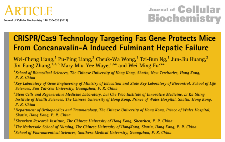 CRISPR/Cas9 Technology Targeting Fas Gene Protects Mice From Concanavalin-A Induced Fulminant Hepati