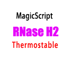 Magigen耐高温RNase HII-核糖核酸酶 - rhPCR好帮手！